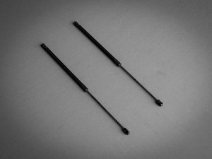 Ford Bronco Hood Strut Kit - Carbon Steel - Black